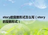 story的復數(shù)形式怎么寫（story的復數(shù)形式）