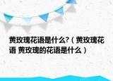 黃玫瑰花語(yǔ)是什么?（黃玫瑰花語(yǔ) 黃玫瑰的花語(yǔ)是什么）