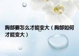 胸部要怎么才能變大（胸部如何才能變大）