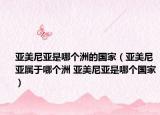 亞美尼亞是哪個洲的國家（亞美尼亞屬于哪個洲 亞美尼亞是哪個國家）