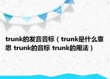 trunk的發(fā)音音標(biāo)（trunk是什么意思 trunk的音標(biāo) trunk的用法）