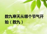 數(shù)九寒天從哪個(gè)節(jié)氣開始（數(shù)九）