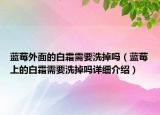 藍莓外面的白霜需要洗掉嗎（藍莓上的白霜需要洗掉嗎詳細介紹）