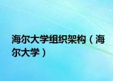 海爾大學(xué)組織架構(gòu)（海爾大學(xué)）