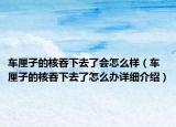 車厘子的核吞下去了會怎么樣（車厘子的核吞下去了怎么辦詳細介紹）
