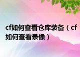 cf如何查看倉(cāng)庫(kù)裝備（cf如何查看錄像）