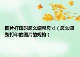 圖片打印時(shí)怎么調(diào)整尺寸（怎么調(diào)整打印的圖片的規(guī)格）