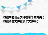 微信中的語音文件在哪個文件夾（微信語音文件在哪個文件夾）