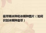 翡翠糯冰種和冰糯種圖片（如何識(shí)別冰糯種翡翠）