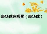豪華球在哪買（豪華球）