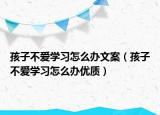 孩子不愛學(xué)習(xí)怎么辦文案（孩子不愛學(xué)習(xí)怎么辦優(yōu)質(zhì)）