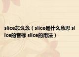 slice怎么念（slice是什么意思 slice的音標 slice的用法）