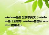 wisdom是什么意思英文（wisdom是什么意思 wisdom的音標(biāo) wisdom的用法）