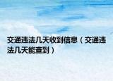 交通違法幾天收到信息（交通違法幾天能查到）