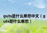 guts是什么意思中文（guts是什么意思）