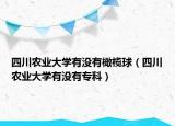 四川農(nóng)業(yè)大學(xué)有沒有橄欖球（四川農(nóng)業(yè)大學(xué)有沒有?？疲? /></span></a>
                        <h2><a href=