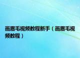 畫眉毛視頻教程新手（畫眉毛視頻教程）
