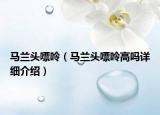 馬蘭頭嘌呤（馬蘭頭嘌呤高嗎詳細(xì)介紹）