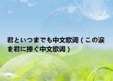 君といつまでも中文歌詞（この涙を君に捧ぐ中文歌詞）