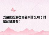 劉星的扮演者真名叫什么呢（劉星的扮演者）