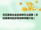無花果里邊全是蟲卵怎么回事（無花果果肉是否有蟲卵詳細(xì)介紹）