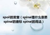 spoil的發(fā)音（spinal是什么意思 spinal的音標(biāo) spinal的用法）