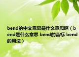 bend的中文意思是什么意思?。╞end是什么意思 bend的音標(biāo) bend的用法）