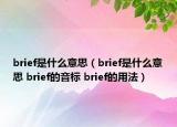 brief是什么意思（brief是什么意思 brief的音標(biāo) brief的用法）