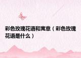 彩色玫瑰花語和寓意（彩色玫瑰花語是什么）
