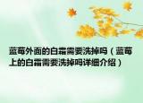 藍(lán)莓外面的白霜需要洗掉嗎（藍(lán)莓上的白霜需要洗掉嗎詳細(xì)介紹）