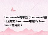 buzzwords有哪些（buzzword是什么意思 buzzword的音標 buzzword的用法）