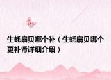 生蠔扇貝哪個補(bǔ)（生蠔扇貝哪個更補(bǔ)腎詳細(xì)介紹）