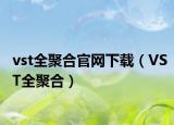 vst全聚合官網(wǎng)下載（VST全聚合）