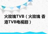 火玫瑰TVB（火玫瑰 香港TVB電視?。? /></span></a>
                        <h2><a href=