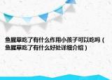 魚腥草吃了有什么作用小孩子可以吃嗎（魚腥草吃了有什么好處詳細(xì)介紹）