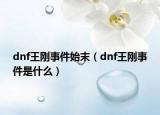 dnf王剛事件始末（dnf王剛事件是什么）