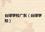 臺球?qū)W校廣東（臺球?qū)W校）
