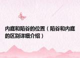 內(nèi)庭和陷谷的位置（陷谷和內(nèi)庭的區(qū)別詳細介紹）