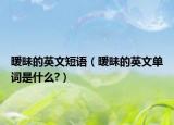 曖昧的英文短語（曖昧的英文單詞是什么?）