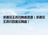 求遇見王瀝川網(wǎng)盤資源（求遇見王瀝川百度云網(wǎng)盤）