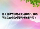什么情況下綠碼會變成黃碼?（黃碼不管會自動變成綠碼嗎詳細介紹）