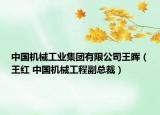 中國(guó)機(jī)械工業(yè)集團(tuán)有限公司王暉（王紅 中國(guó)機(jī)械工程副總裁）