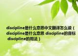 discipline是什么意思中文翻譯怎么讀（discipline是什么意思 discipline的音標 discipline的用法）