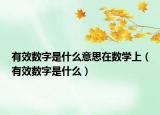 有效數(shù)字是什么意思在數(shù)學上（有效數(shù)字是什么）