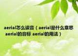aerial怎么讀音（aerial是什么意思 aerial的音標(biāo) aerial的用法）