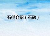 石鸻介紹（石鸻）