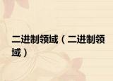 二進(jìn)制領(lǐng)域（二進(jìn)制領(lǐng)域）