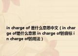 in charge of 是什么意思中文（in charge of是什么意思 in charge of的音標(biāo) in charge of的用法）