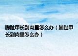 腳趾甲長到肉里怎么辦（腳趾甲長到肉里怎么辦）