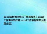 excel表格如何顯示工作表標(biāo)簽（excel工作表標(biāo)簽在哪 excel工作表標(biāo)簽怎么設(shè)置介紹）